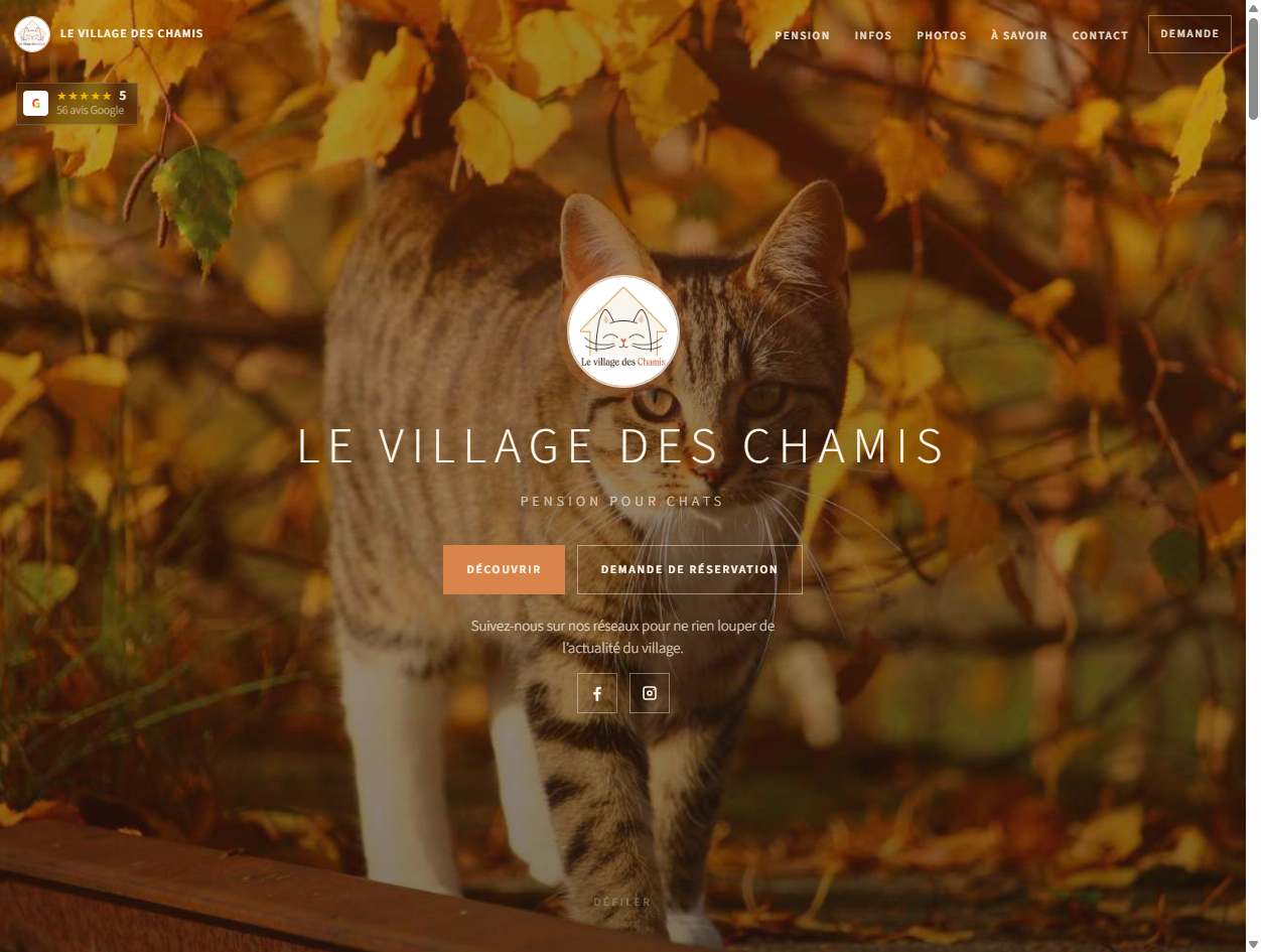 Capture d'écran du site Le Village des Chamis